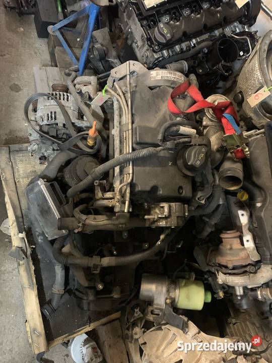 Silnik Polo 14 tdi kod BAY osobowe Września