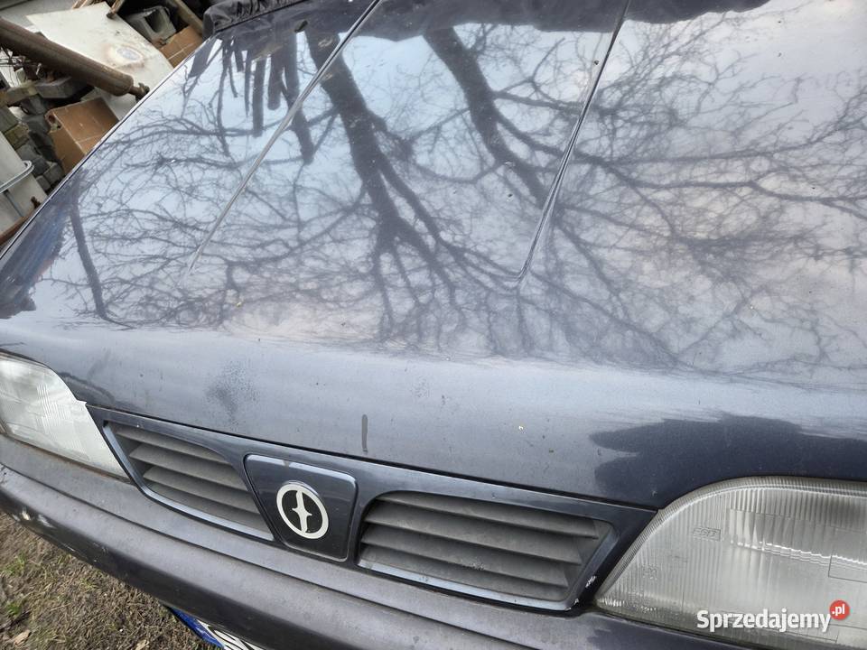 Polonez maska silnika i klapa bagażnika 23E śląskie Gliwice