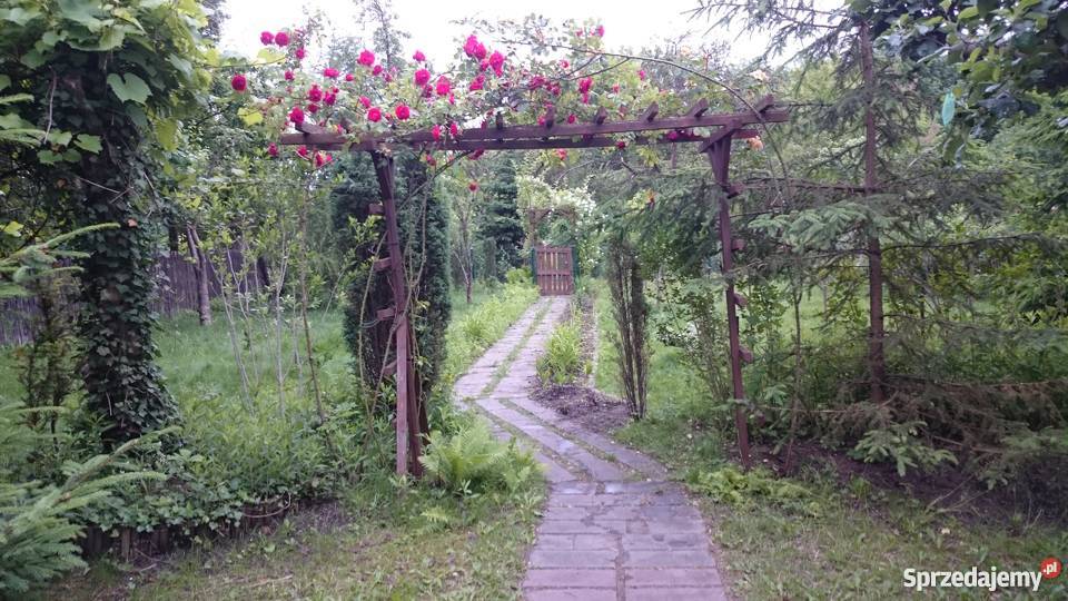 Ogródek działkowy ROD Pilczyce Hutnicza Wrocław 5000zł/m2 Grunty i działki dolnośląskie