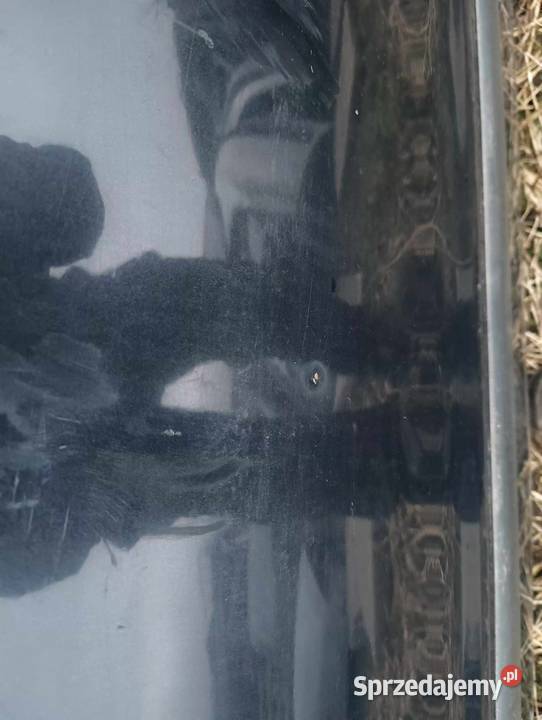 Drzwi lewe przednie przód Volvo v40 s40 9604 Kraków