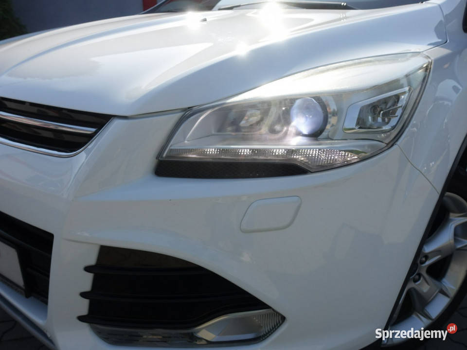 Ford Kuga 20D Navi Skóra Xenon Alu Bezwypadkowy nawigacja Częstochowa