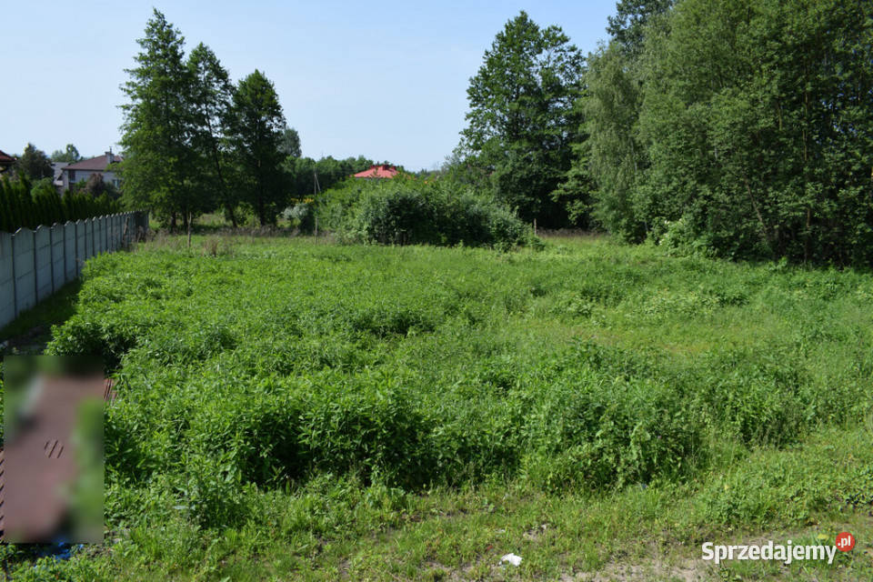 Działka budowlana 68a Jasionka Sprzedaż Sprzedaż sprzedam