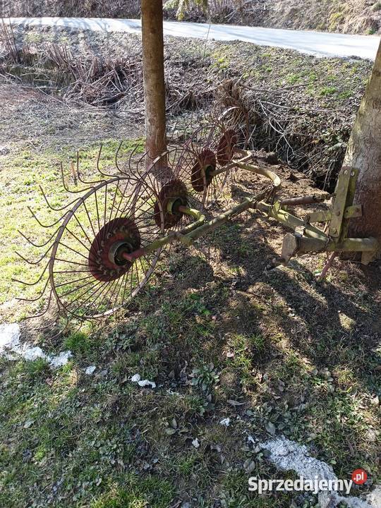 Grabarka słoneczko Szufnarowa