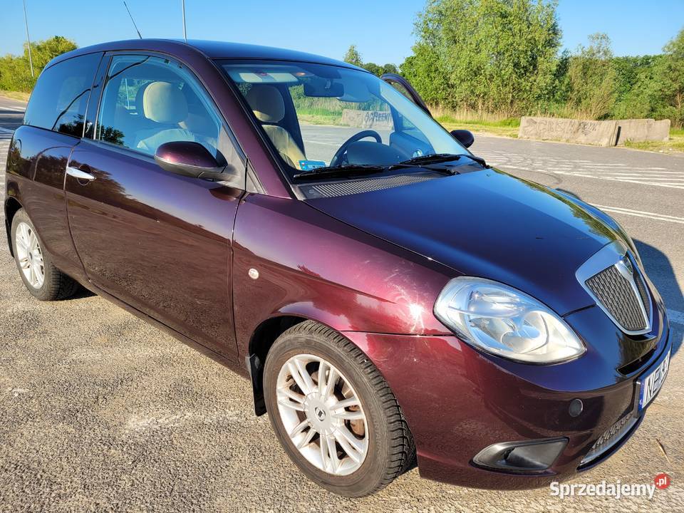 Lancia Ypsilon Sprzedam elektryczne lusterka Elbląg