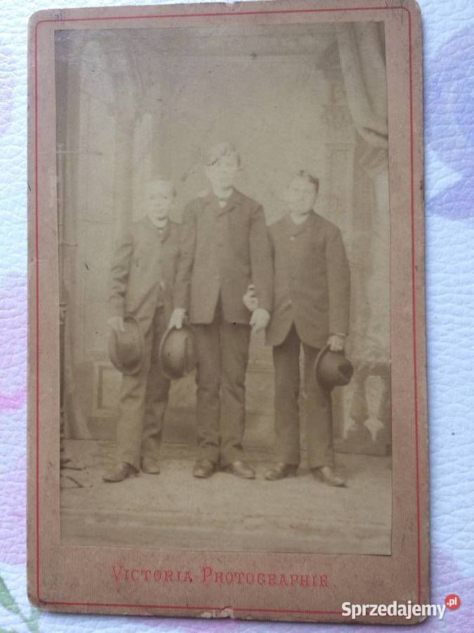 1233 SULĘCIN Niemieckie Zdjęcie Kartonikowe Szczecin sprzedam