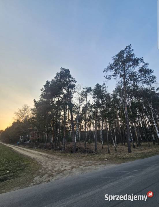 Działka budowlana w lesie 2631m 2MRU Dokudów II 2631m2 Dokudów Drugi