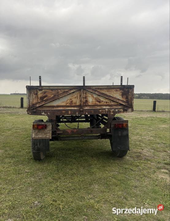 Przyczepa Rolnicza D50 nieuszkodzony Przyczepy rolnicze Parczew sprzedam