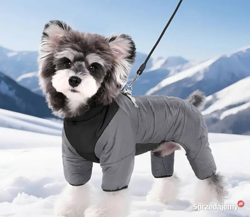 Ciepła wiatroszczelna zimowa kurtka małego Bełchatów