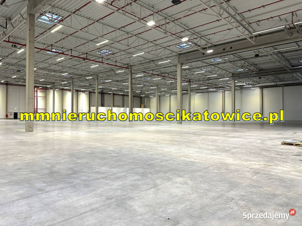 Halamagazyn do wynajęcia Katowice dojazd do 10295m2 Lokale użytkowe śląskie