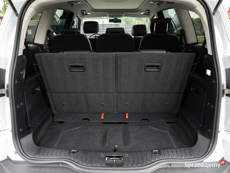 Ford S 20 TDCi DPF Titanium Brzóza Królewska