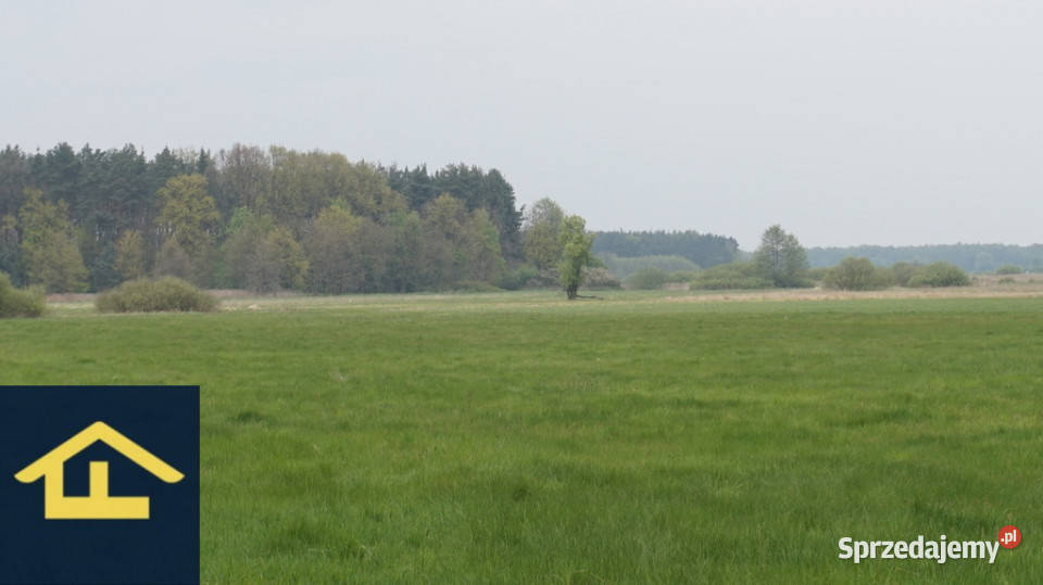 Nieruchomość w Całowaniu