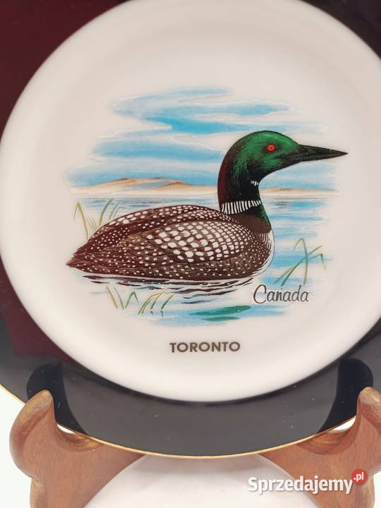 Talerz z Canady Toronto ptak kaczka Zamość