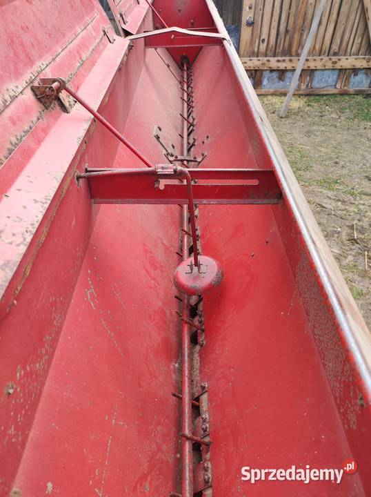 siewnik poznaniak Głomsk