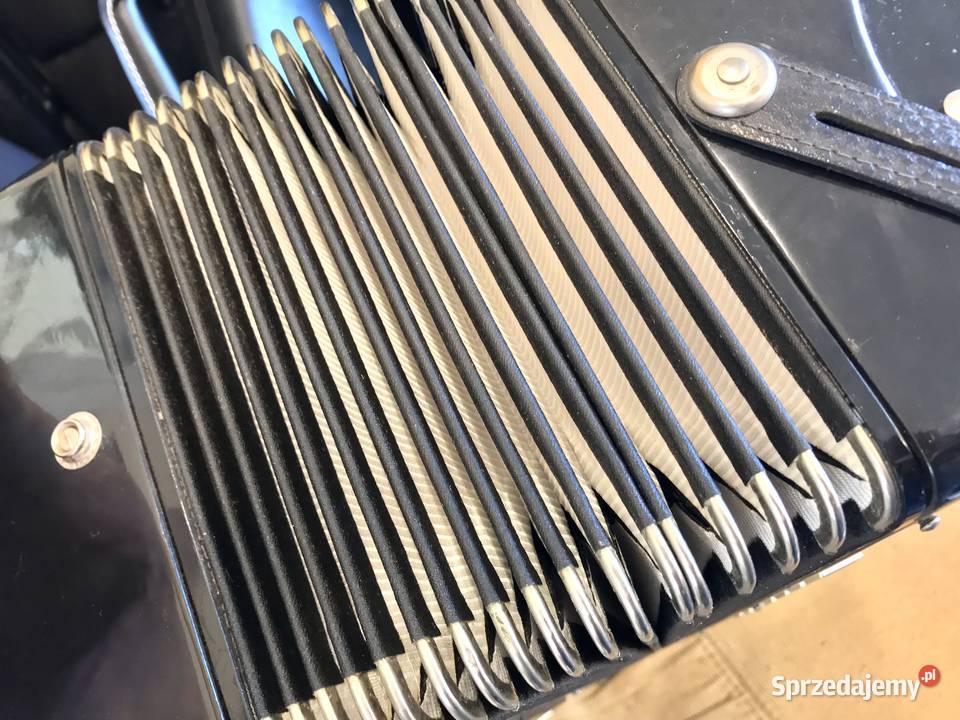 DELICIA Choral XIV AKORDEON 120 basów WALIZKA Warszawa sprzedam
