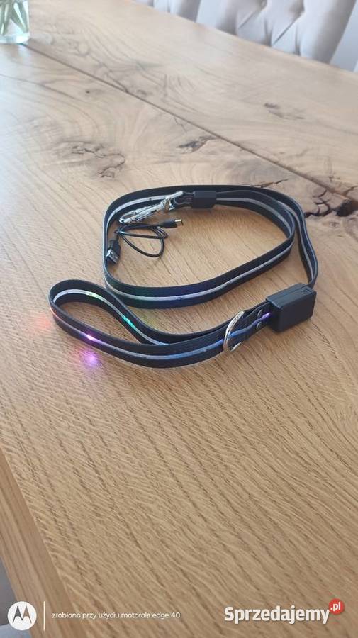 Smycz z podświetleniem LED Ciechanów sprzedam
