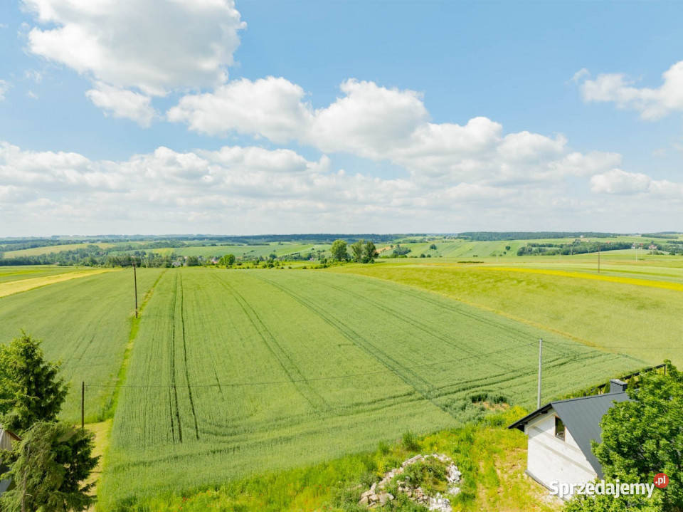 Sielska nieruchomość w otoczeniu natury 220 HA Grzegorzowice Wielkie