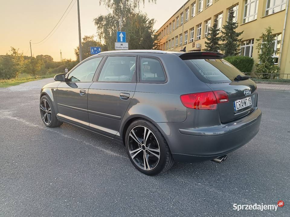 Audi A3 8P 190 CHIP 20 TDI Izbica Kujawska