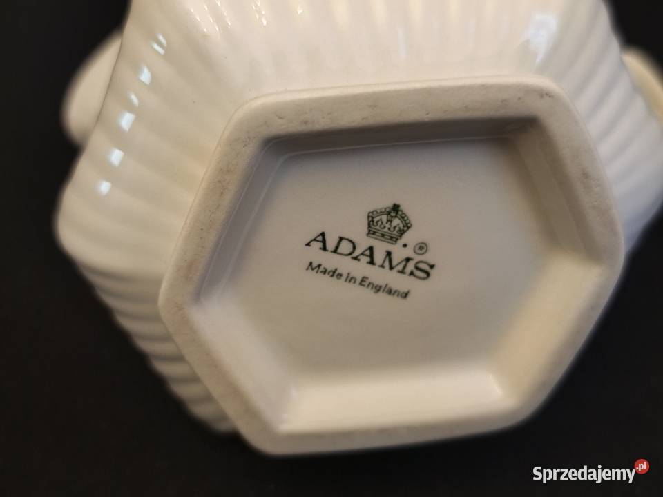 Mlecznik angielski Adams Chełm sprzedam