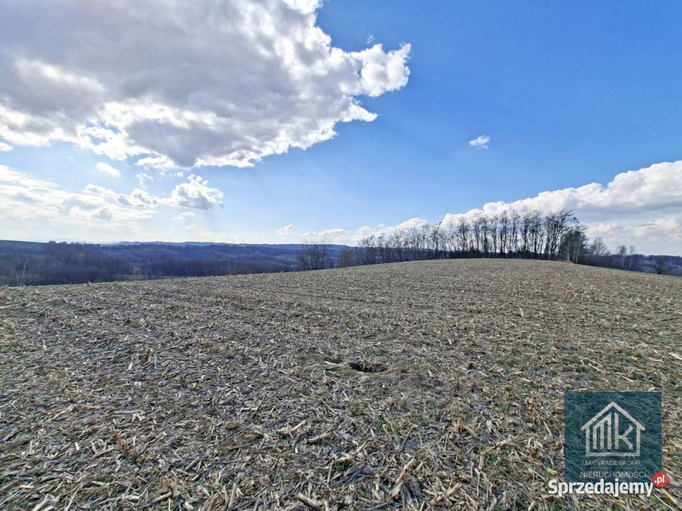 Działka 8100 metrów Bodzanów