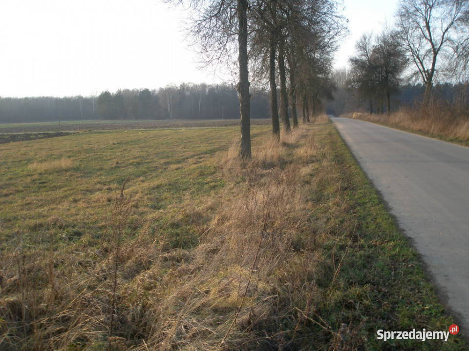 Działka budowlana w Jabłonnej gminie Grębków