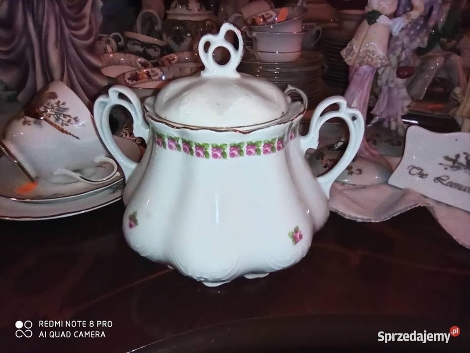 Secesja Serwis Pękaty brzuszasty