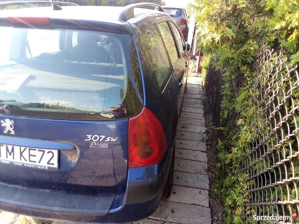 Peugoet 307 uszkodzony silnik Tomaszów Mazowiecki