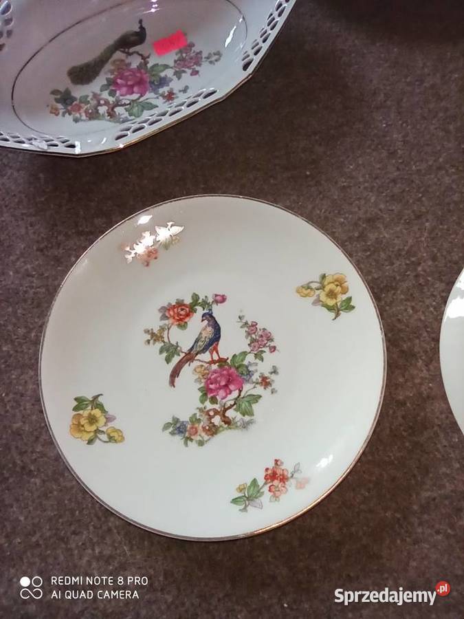 talerzyk deserowyz ptakiem