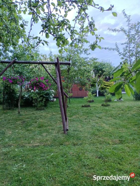 Działka ogrodowa SZAROTKA Ełk