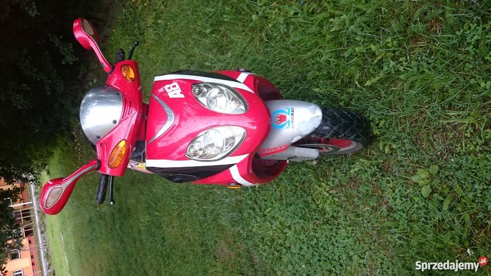 Kingway Maximus Piła