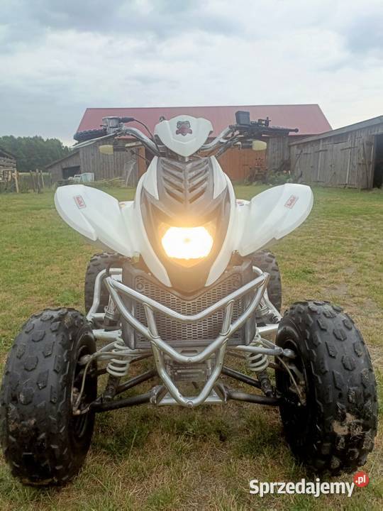 Quad dinli dl801 3003