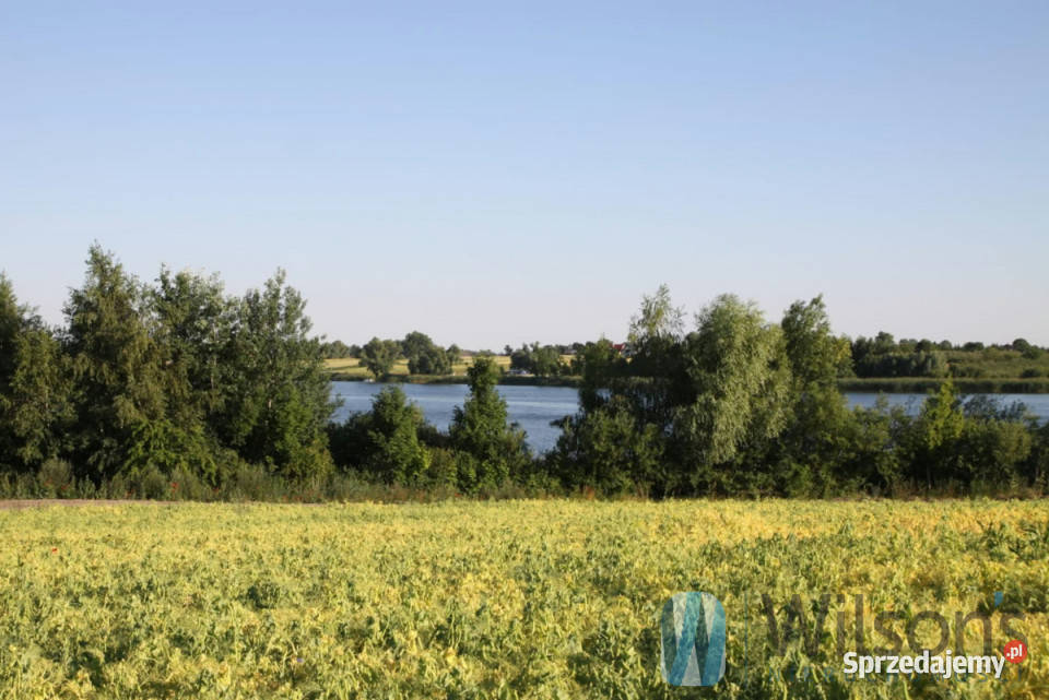 Ogłoszenie działka Nowa Chełmża 43000m2 inwestycyjna