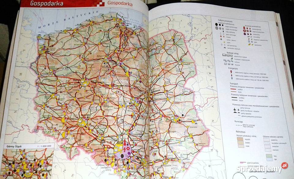 Szkolny atlas Polski ponad 590 ilustracji Chełm