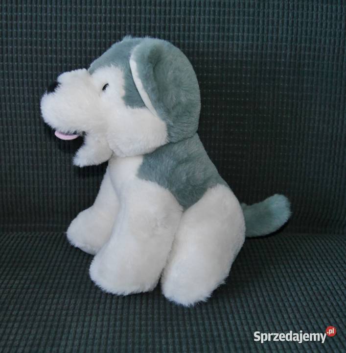 Maskotka piesek husky nowy dolnośląskie sprzedam