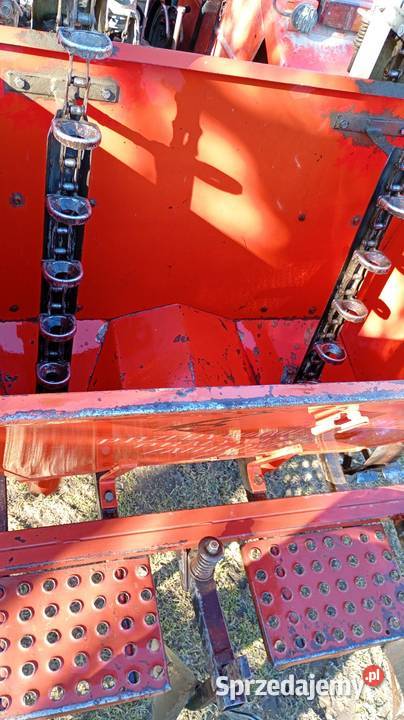 Sadzarka do ziemniaków radełka Siewniki i sadzarki Szydłów