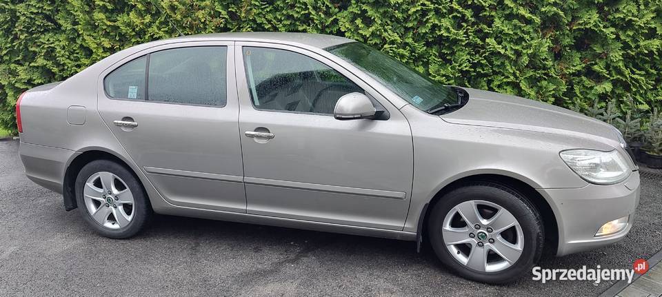 Skoda Octavia 2 Hatchback Elegance 20103kW PD Rzeszów