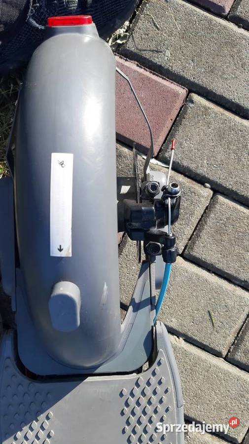 Hulajnoga Motus Scooty 10 plus 2022 Rzeszów