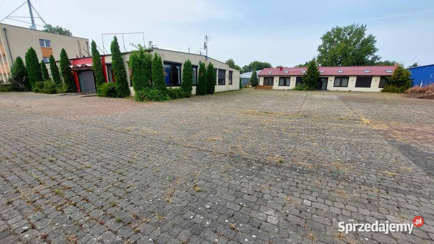 Lokal Kołobrzeg Sienkiewicza Henryka 884m2 biurowy sprzedam