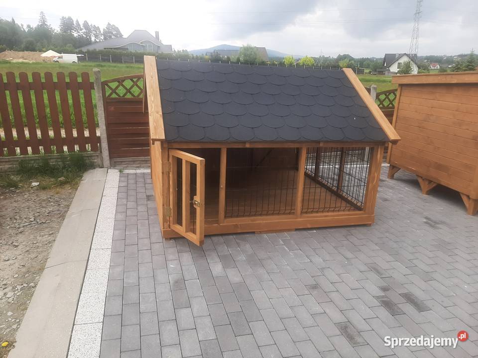 Kojec psa małopolskie