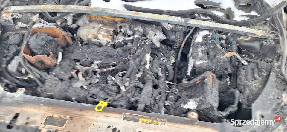 Range Rover Evoque 2017 4x4 1995cm3 Lwówek Śląski