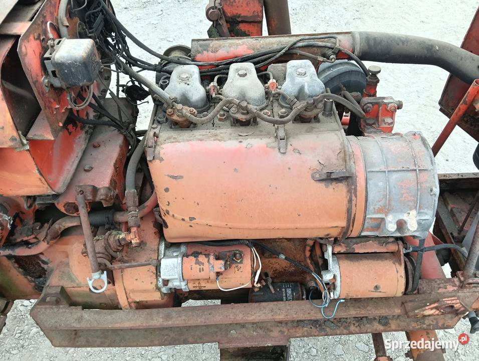 Renault 56 Grodzisk Wielkopolski