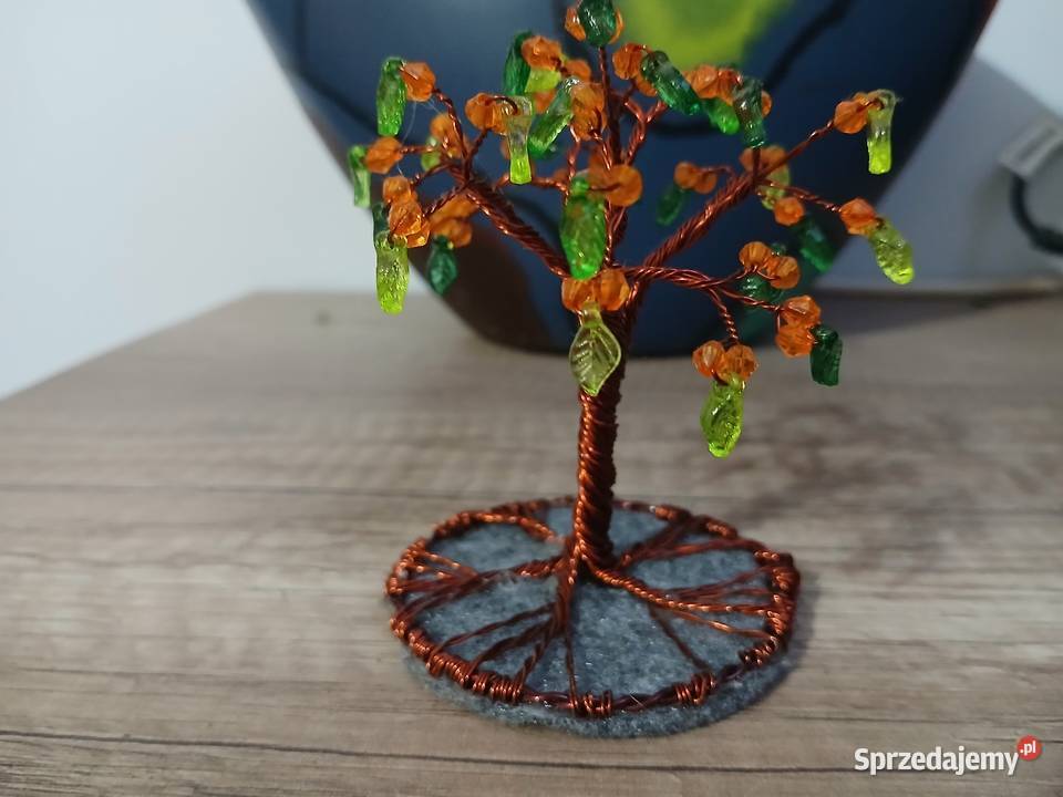 Drzewko szczęścia Olsztyn