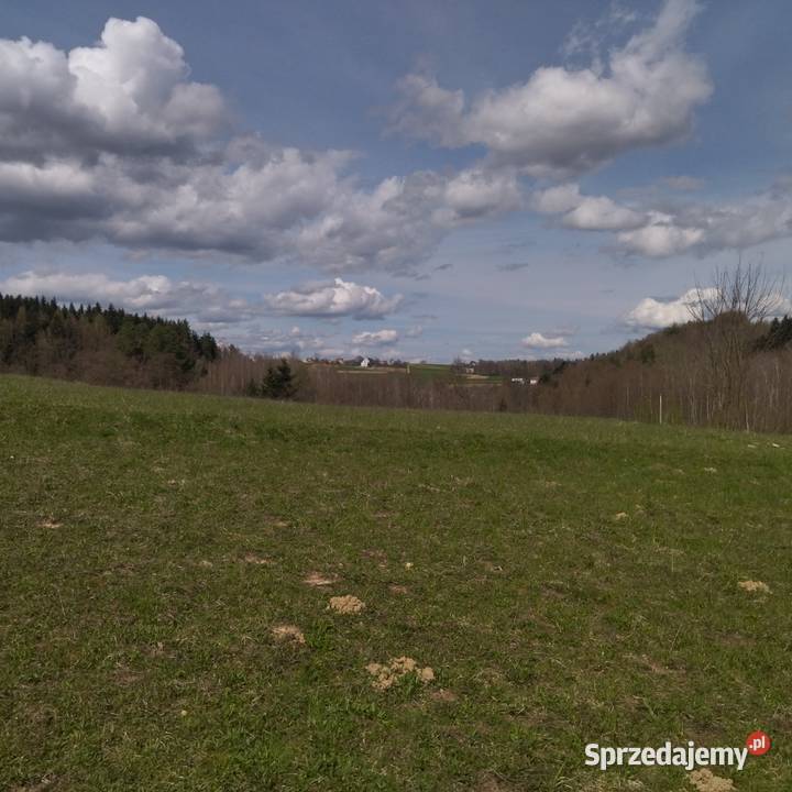 dom drewniany 50m2 Binarowa