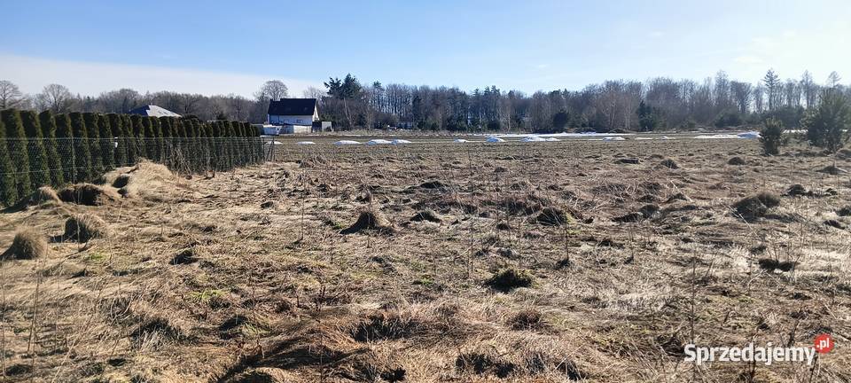 Działka z WZ w Górze k Wejherowa Góra