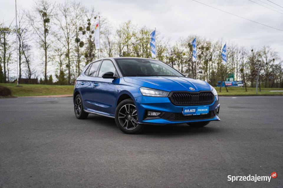 Skoda Fabia 10 TSI przyciemniane szyby Zabrze