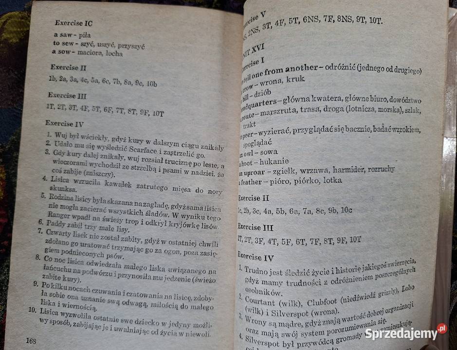 Read and Enjoy Bogdan Krakowian angielski Kraków
