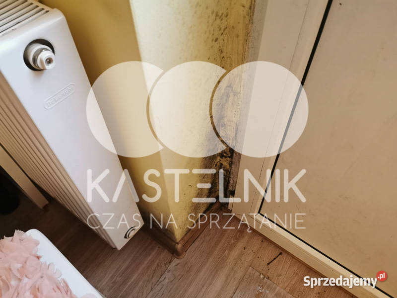 Odgrzybianie ścian Syców Kastelnik Usuwanie