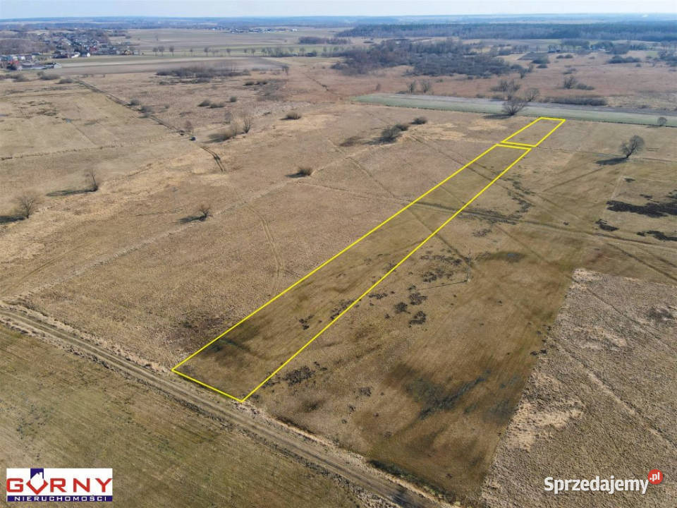 sprzedaży działki 8100m2 Świerczyńsko sprzedam