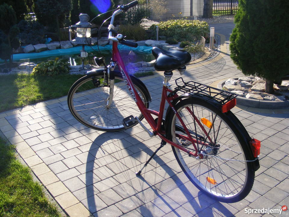 Rower damka Pegasus 28 TORPEDA Shimano Nexus mazowieckie Gąbin