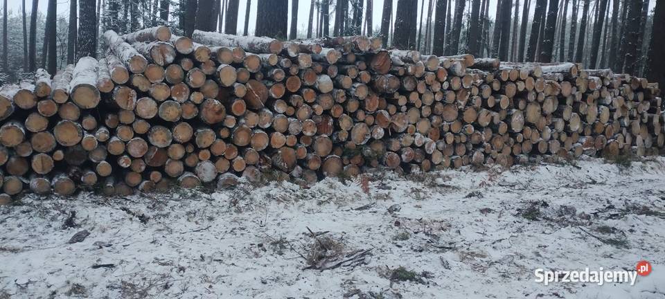 Sprzedam drewno opałowe suche Kuźnica Myślniewska