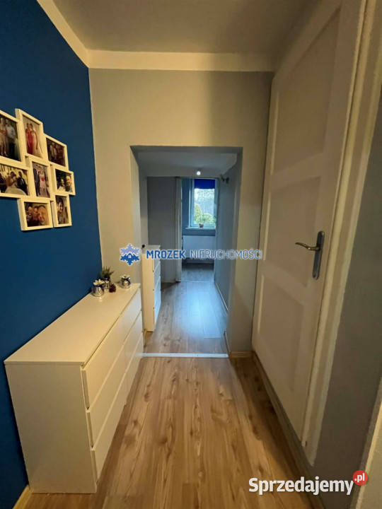Kamienicę sprzedam 926m2 Zebrzydowice 850m2 sprzedam
